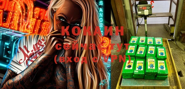 прущие крисы Кулебаки