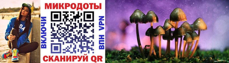 Псилоцибиновые грибы MAGIC MUSHROOMS МЕГА ссылки Венёв
